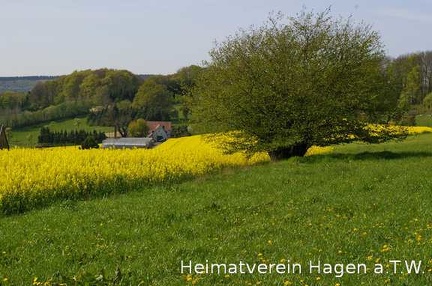 Frühling Hinter dem Ellenberg mit Blick auf Gärtnerei Haunhorst