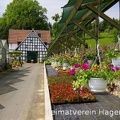 Blumenpracht auf dem Anwesen der Gärtnerei Haunhorst