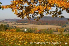 Herbstliche Gartenidylle auf dem Ellenberg mit Blick auf Altenhagen.