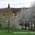 Kirschblüte in Hagen an der Strasse zum Jägerberg
