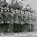 Kameraden der Freiwilligen Feuerwehr Niedermark 1941