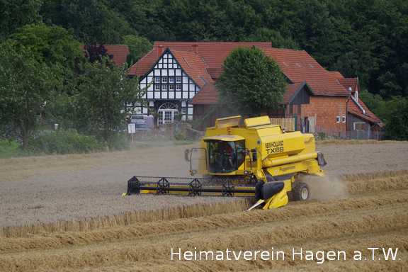 Getreideernte an der Heggestrasse in Altenhagen